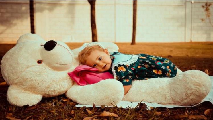 The Benefits of Stuffed Toys in Children’s Development