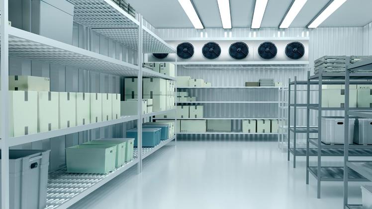 From Food to Pharmaceuticals: What Can You Store in a Freezer Warehouse?