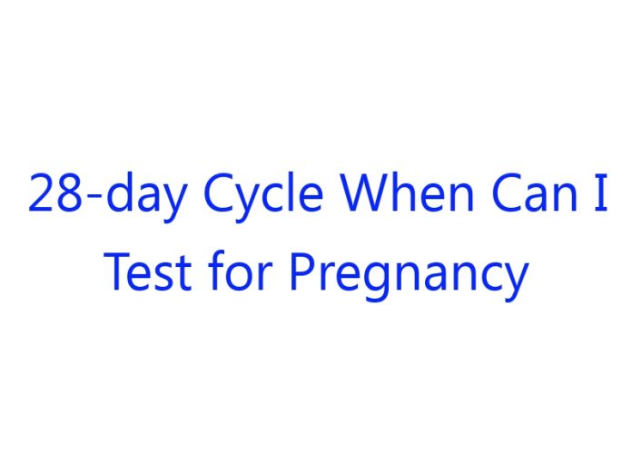 28 Day Cycle When Can I Test for Pregnancy