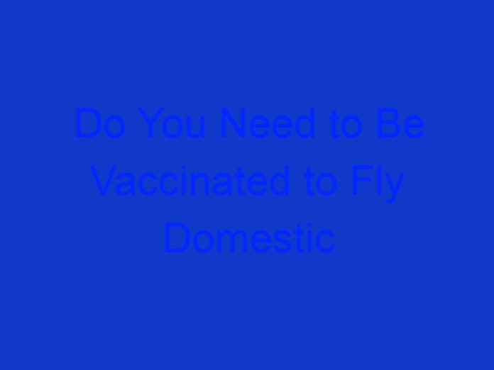 Do You Need to Be Vaccinated to Fly Domestic Australia