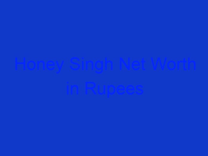 Honey Singh Net Worth in Rupees