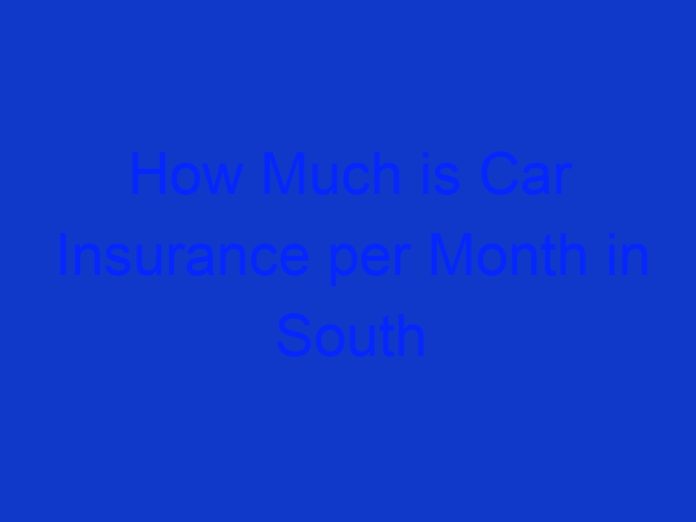 How Much is Car Insurance per Month in South Africa