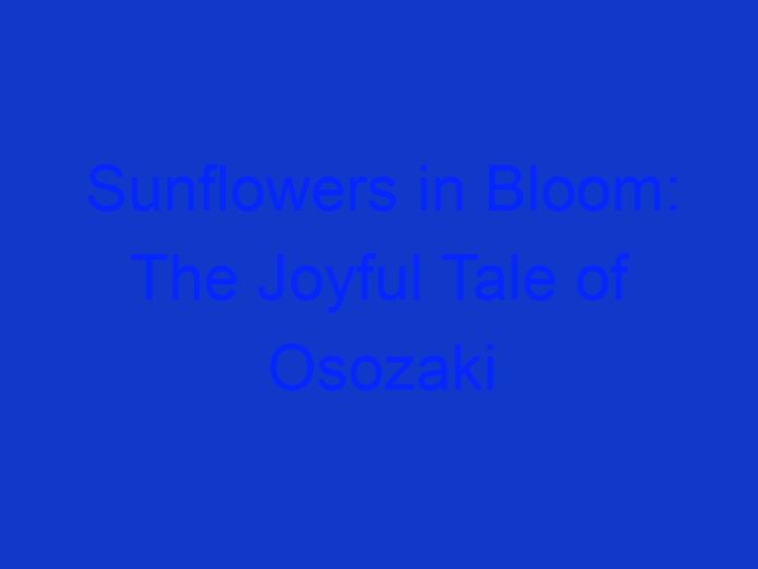 Sunflowers in Bloom: the Joyful Tale of Osozaki No Himawari