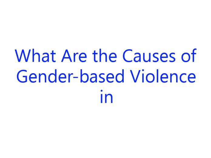 What Are the Causes of Gender Based Violence in South Africa
