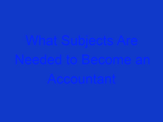 What Subjects Are Needed to Become an Accountant in South Africa
