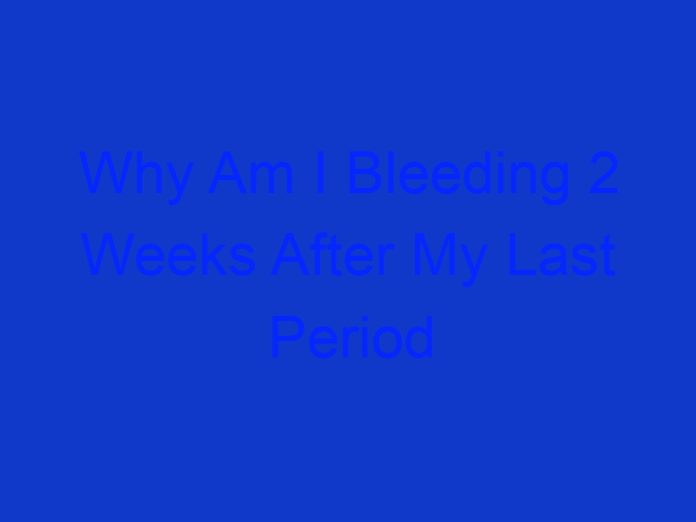 Why Am I Bleeding 2 Weeks After My Last Period