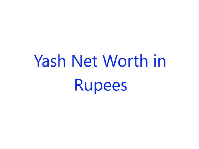 Yash Net Worth in Rupees
