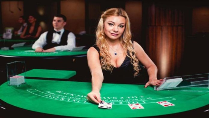 What to Look for in an Online Live Casino