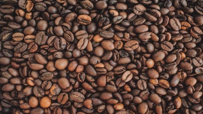 How to Identify the Best Coffee