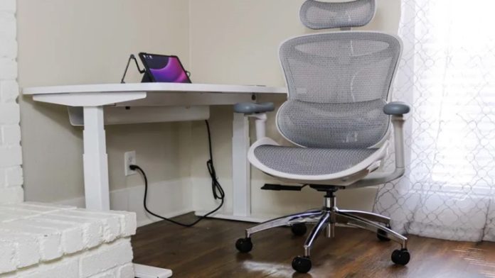 Sihoo Doro C300 the Ultimate Ergonomic Office Chair for Prolonged Sitting